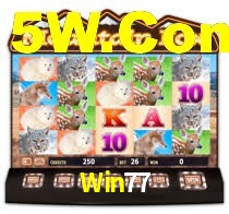 Crash Games Strategies Win77